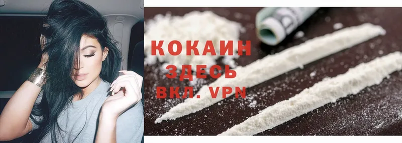 COCAIN Эквадор  как найти   Болотное 